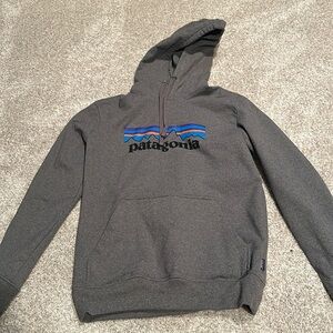 Men’s Gray Patagonia Sweatshirt